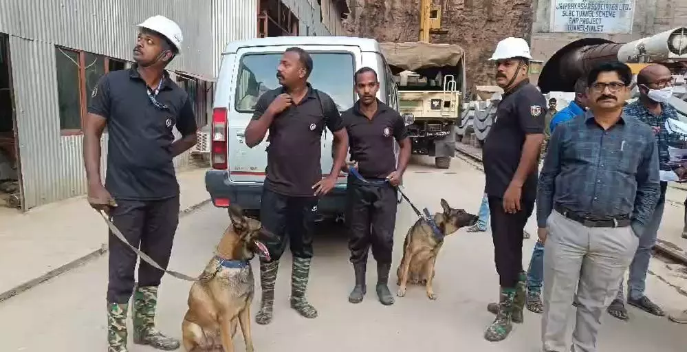 Telangana tunnel: Kerala cadaver dogs detect human presence under rubble