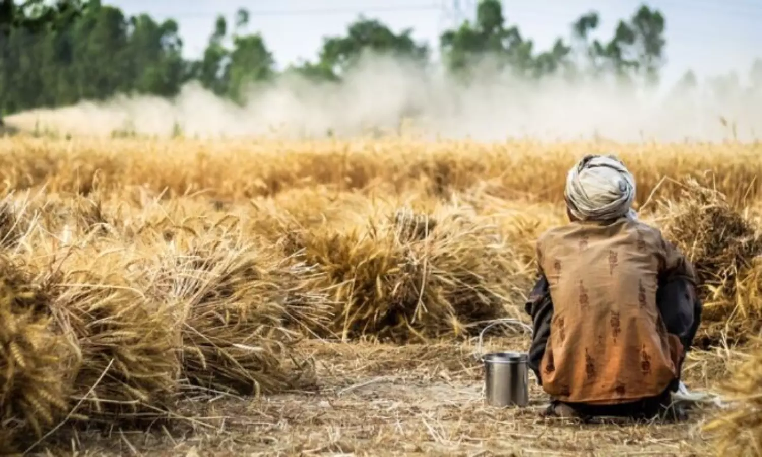 8 farmers die by suicide daily in Maharashtra: Minister Makarand Jadhav