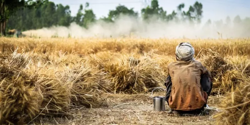 8 farmers die by suicide daily in Maharashtra: Minister Makarand Jadhav