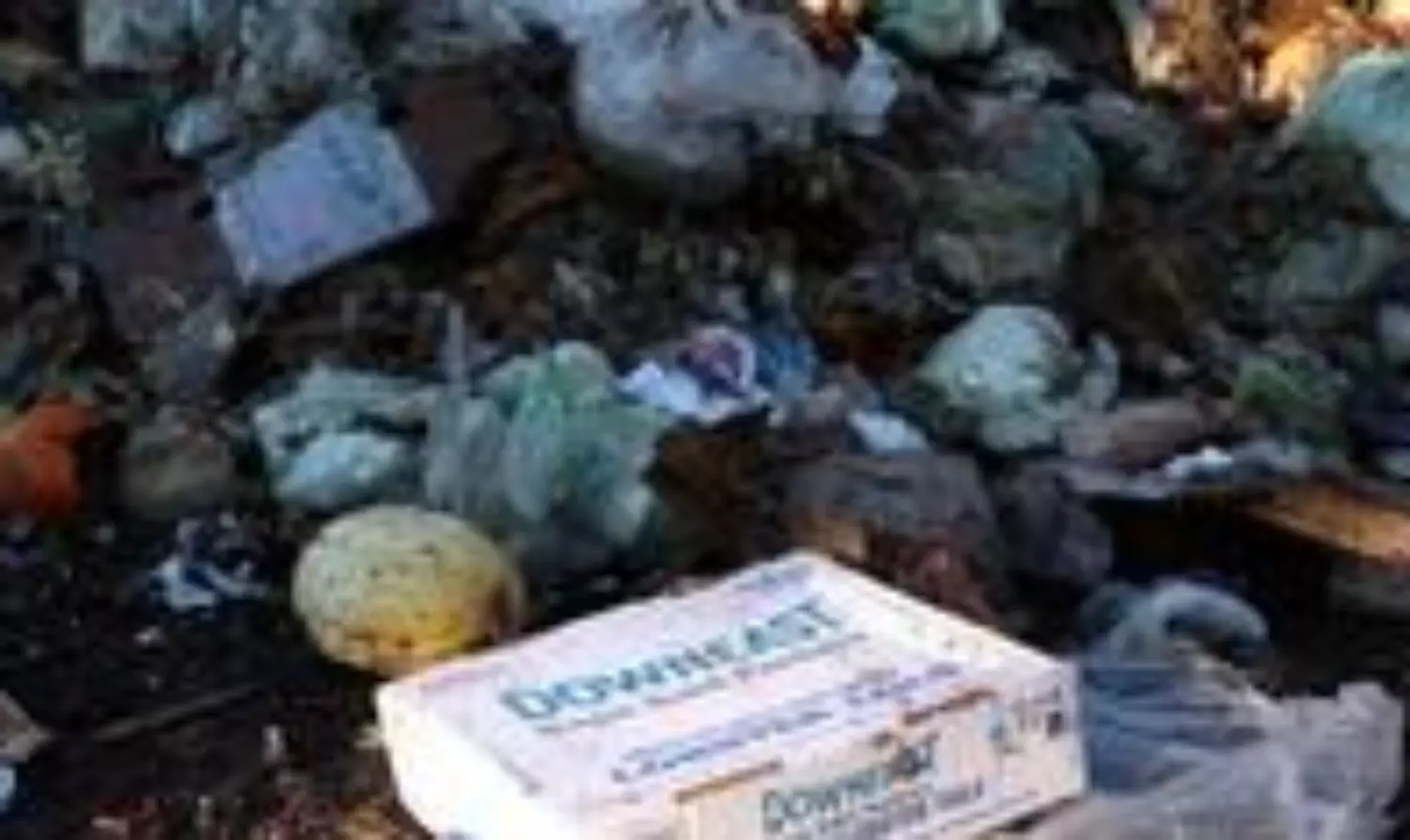 India’s food wastage less compared to global annual average of 79 kg/capita