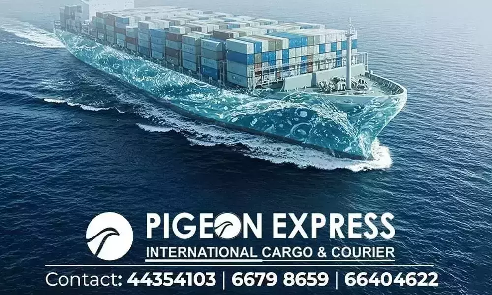Pigeon International Cargo