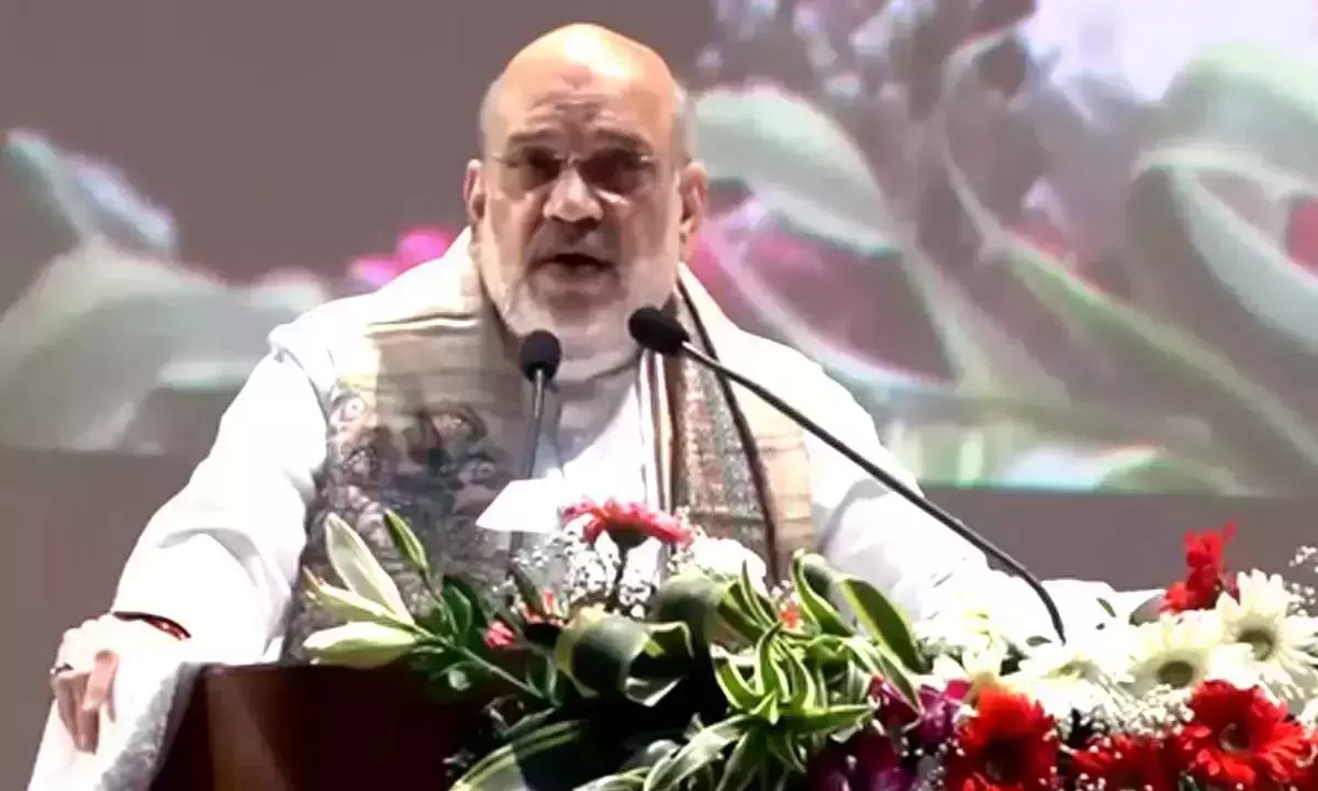 Amit Shah criticises Lalu for defaming Bihar through fodder scam