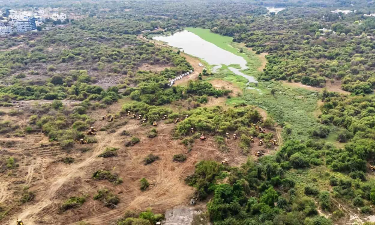 Telangana HC halts all work on disputed 400-acre land near UoH