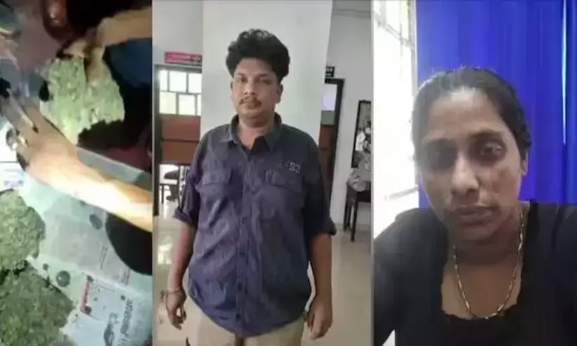 Kerala excise seizes ₹2 crore worth ganja, arrests woman & accomplice