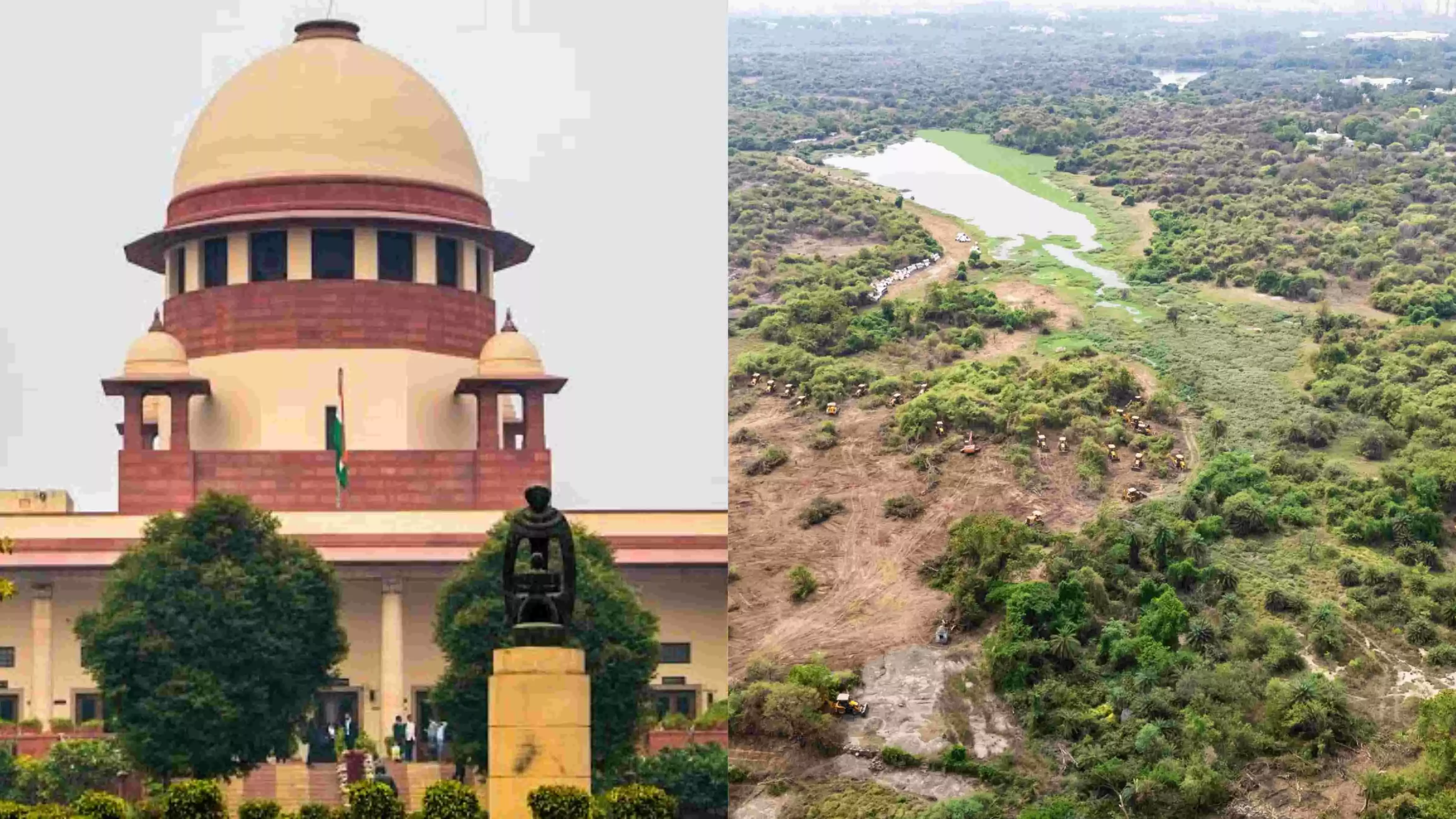 Supreme Court halts Telangana tree felling until further orders