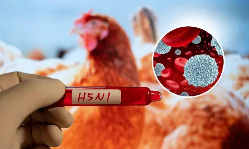 Mexico reports first human death from H5N1 bird flu