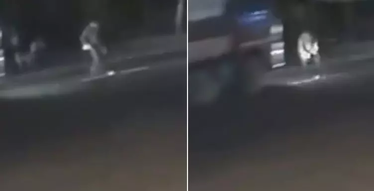 Man trying to rescue cat from speeding truck crushed to death in Thrissur