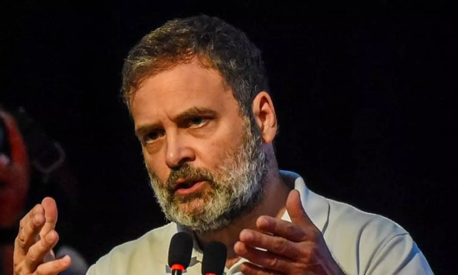 Rahul Gandhi plans Gujarat Congress revamp with suspensions, demotions