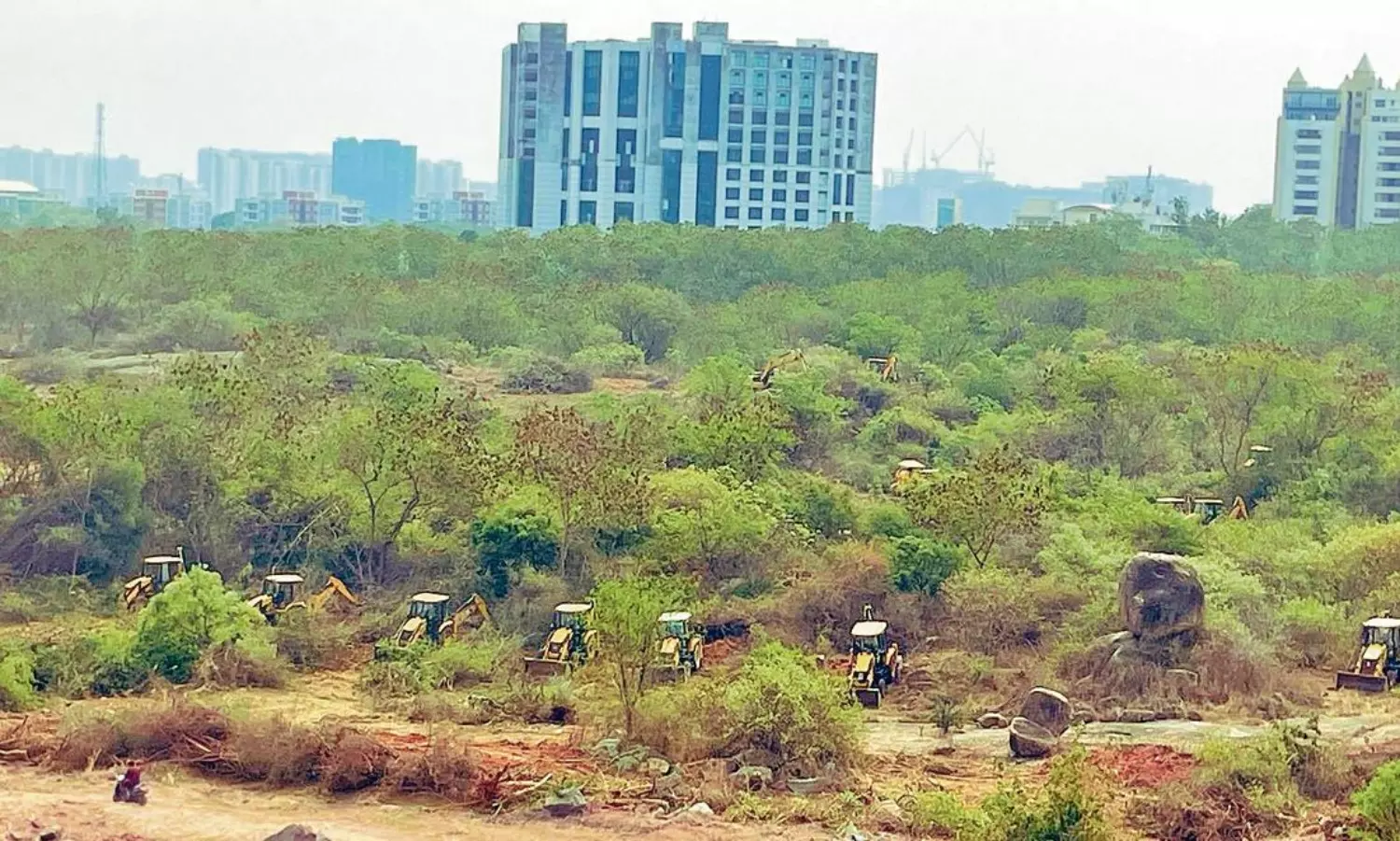 "Not a single tree": SC stays deforestation near Hyderabad University
