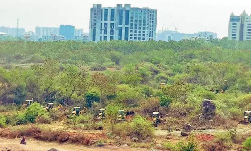 Not a single tree: SC stays deforestation near Hyderabad University