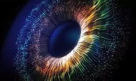 eye