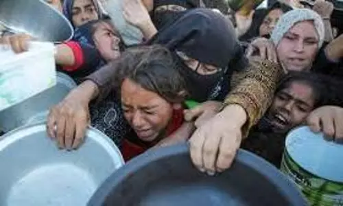 Gaza Famine