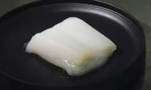 lab grown chicken