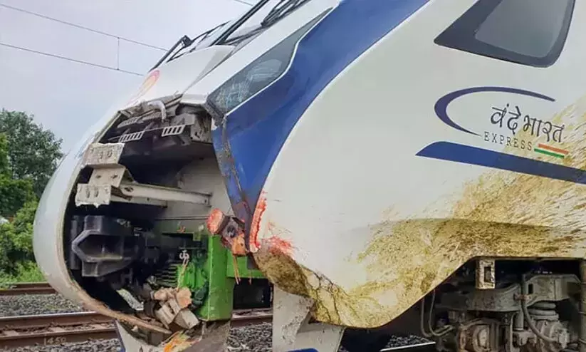 Vande Bharats cattle collisions: Safety commission raises alarm