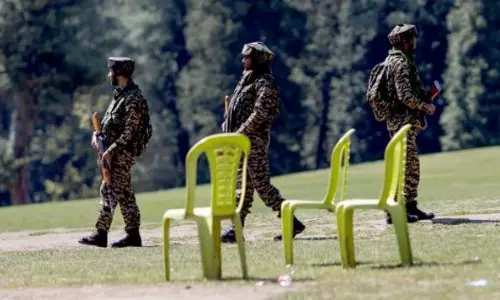 What is needed is peace, freedom from terrorism