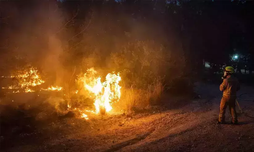 Wildfire ravages Israel, sparks national emergency