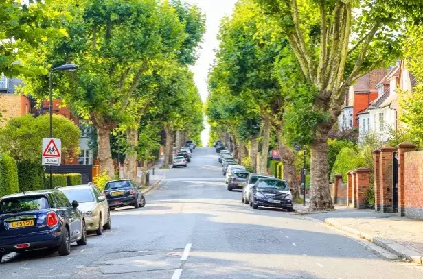 Expanding urban vegetation can save lives from heat-related deaths: Study