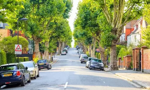 Expanding urban vegetation can save lives from heat-related deaths: Study