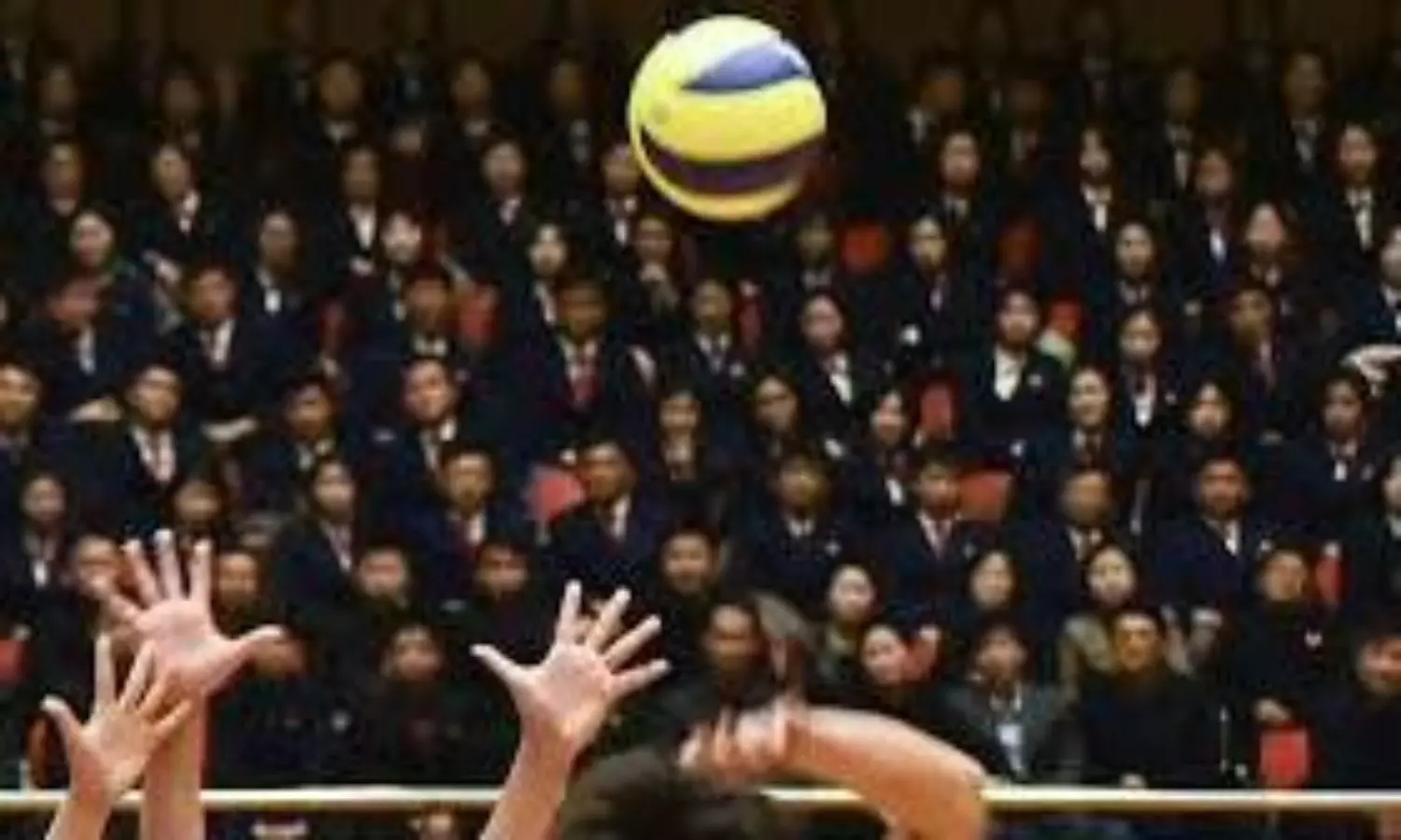 volleyball