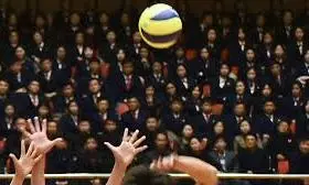 volleyball