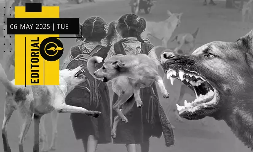 The government must answer for these deaths