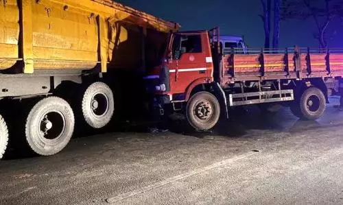 Trailer, truck collide in Chhattisgarh killing 13; 11 injured
