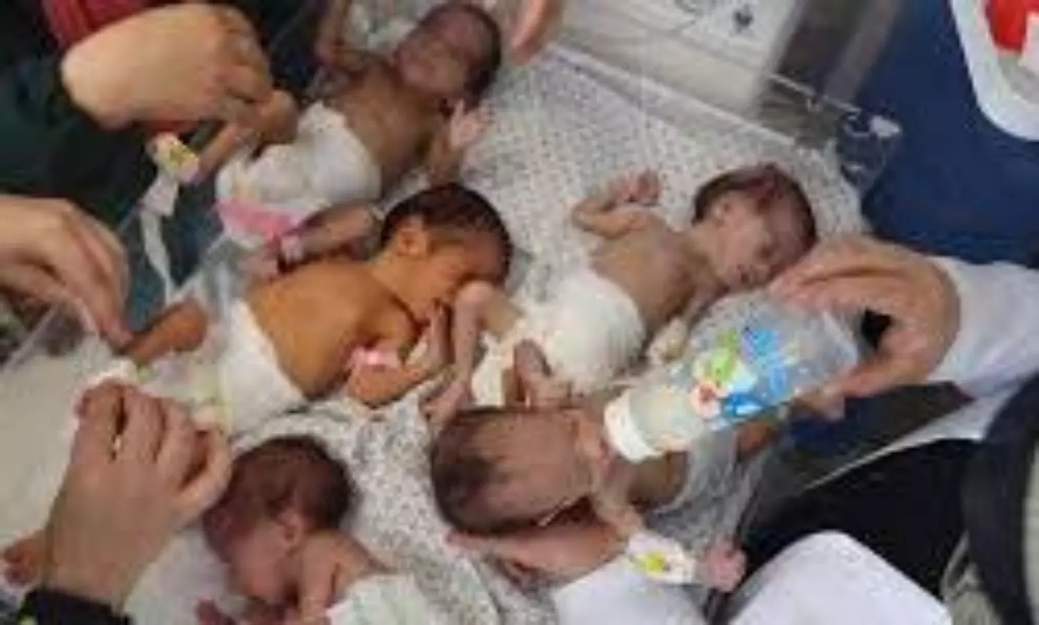 gaza babies