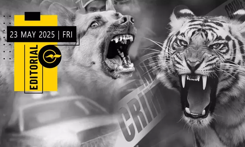 Is control enough on wild animals and stray dogs?