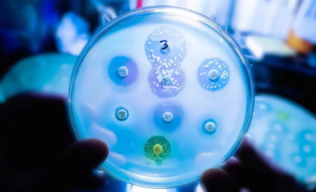 New study finds germ that feeds on hospital plastic