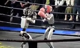 robot boxing match