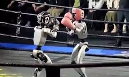 robot boxing match