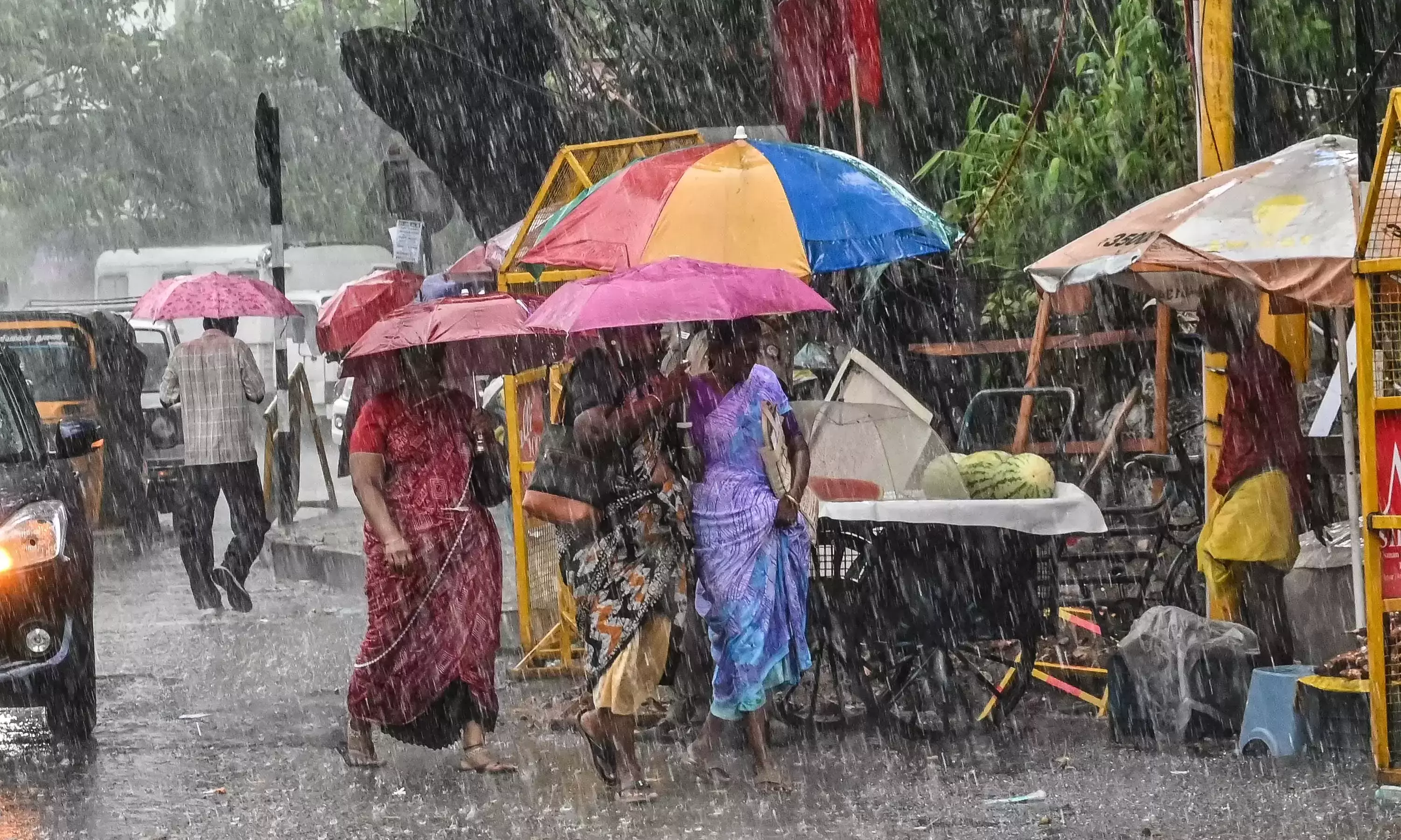 Nilgiris on red alert: Major tourist spots in Ooty closed due to heavy rain