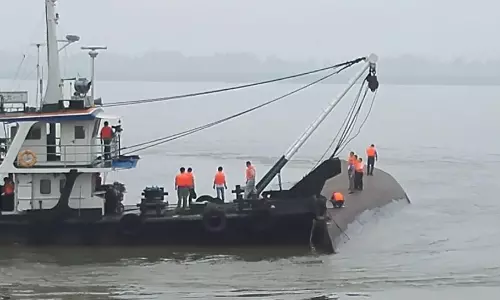 Plastic Nurdles from sunk container ship wash ashore in TN, raising alarm