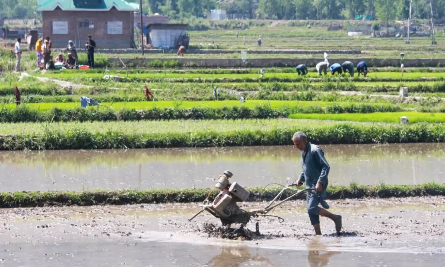 Over 6.1 crore farmers have Aadhar-like digital IDs linked to land records