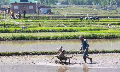 Over 6.1 crore farmers have Aadhar-like digital IDs linked to land records