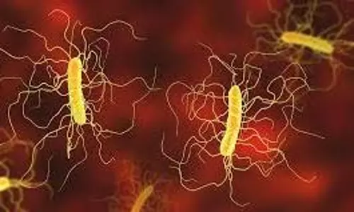 electricity generating bacteria