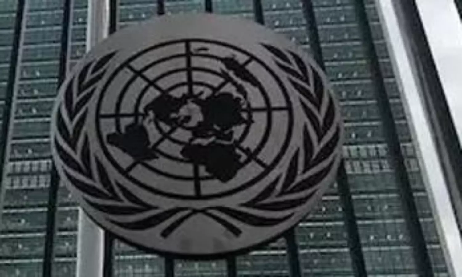 Germanys ex-foreign minister elected by UN assembly as next president