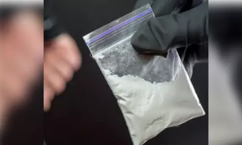 Chinese nationals accused of smuggling ‘dangerous biological pathogen’ into US