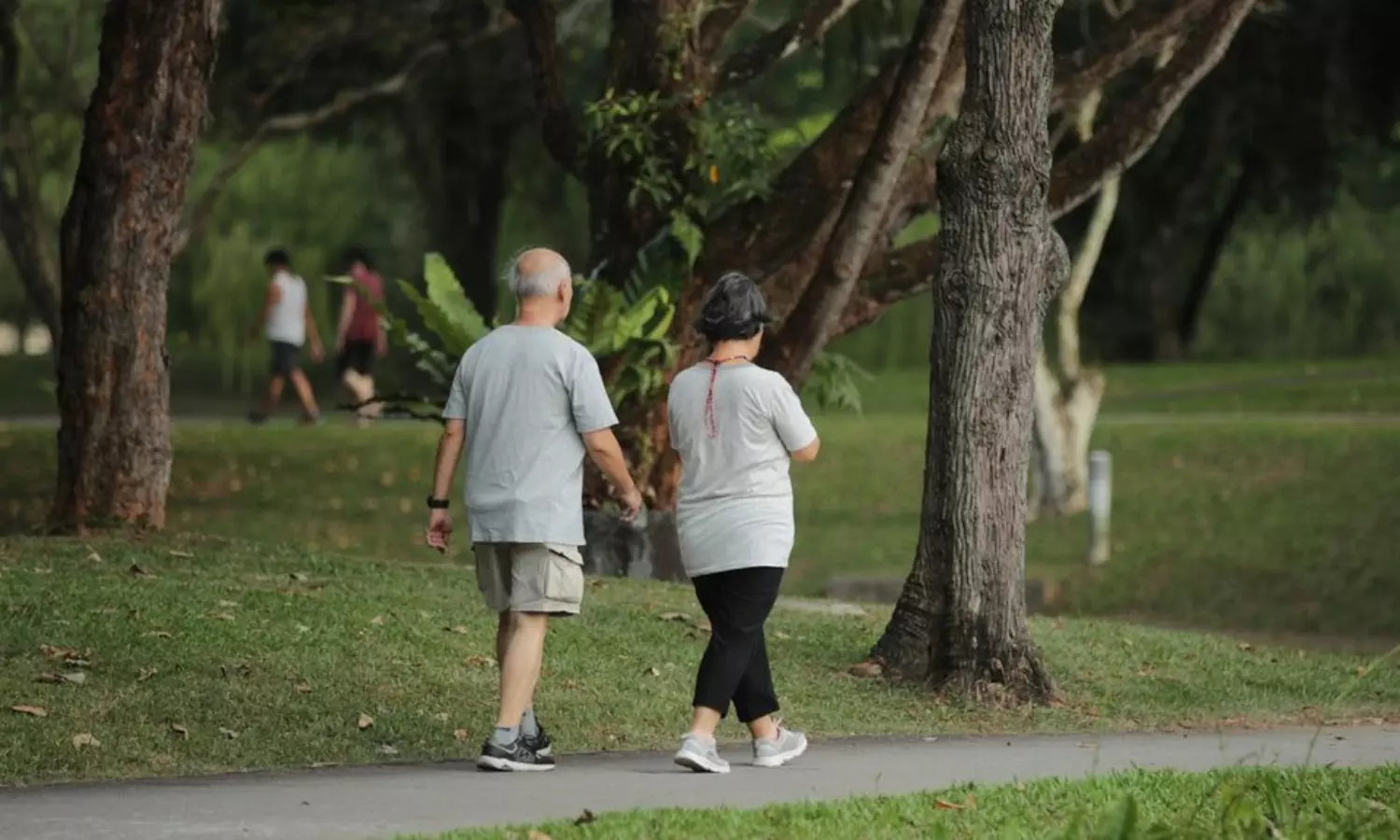 Japanese walking: why this fitness trend is gaining global attention