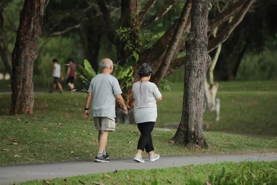 Japanese walking: why this fitness trend is gaining global attention