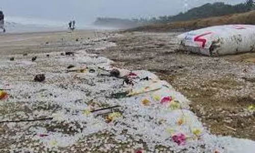 plastic nurdle spill