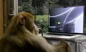 neuralink blindsight