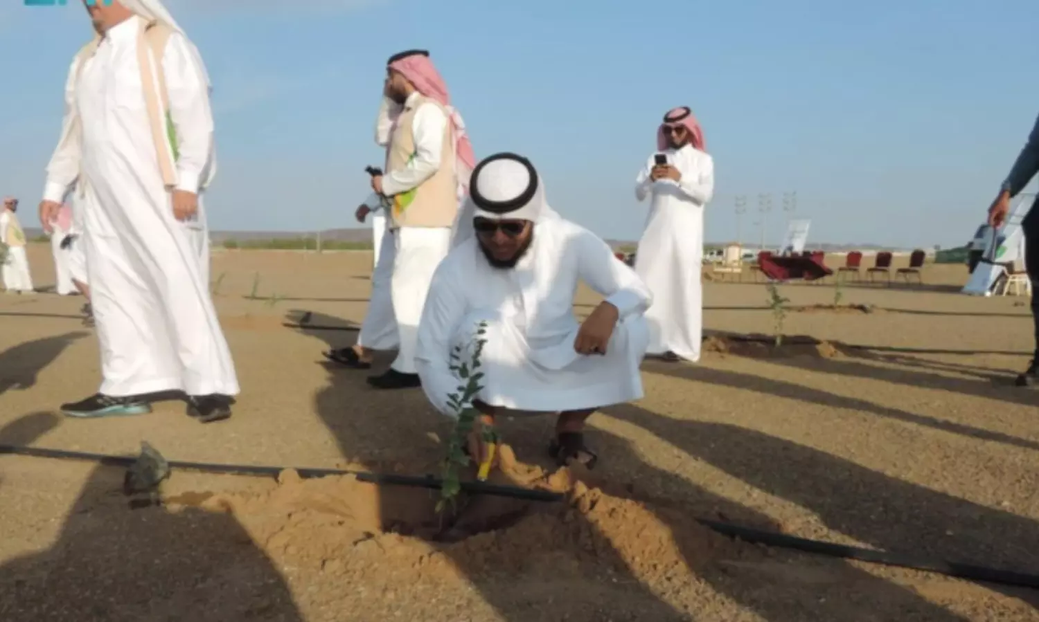 Saudi Arabia: 31m trees planted in Eastern Province under green drive