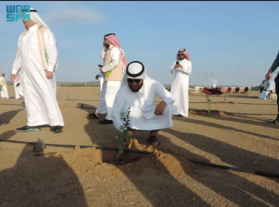 Saudi Arabia: 31m trees planted in Eastern Province under green drive