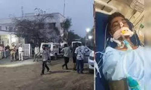 cow vigilantism
