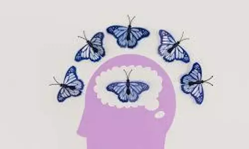 brain
