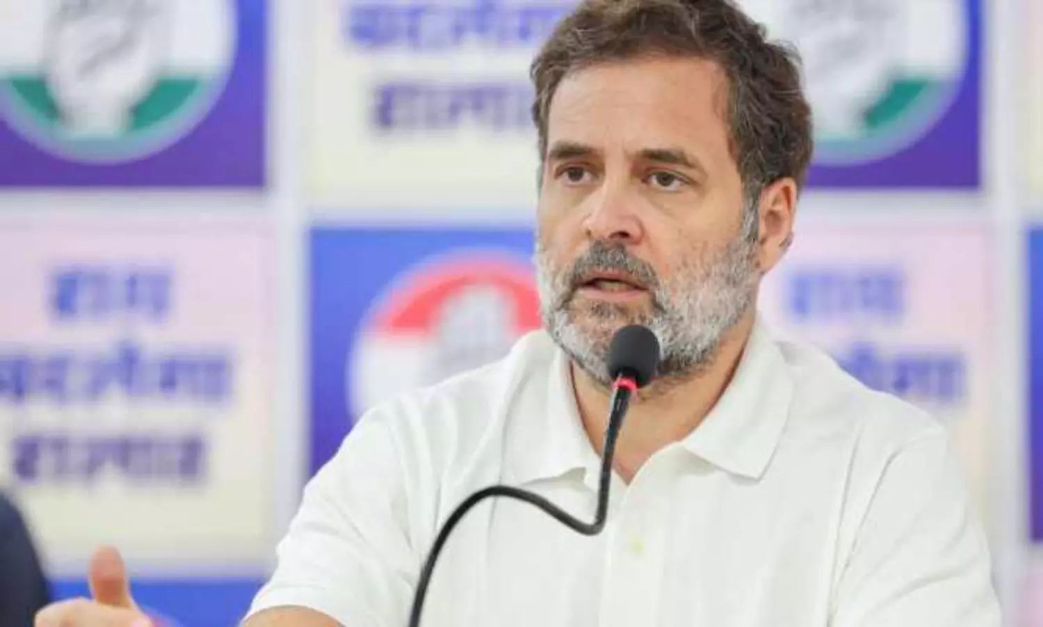 National Herald case: AICC tried to revive AJL, Rahuls lawyer tells court