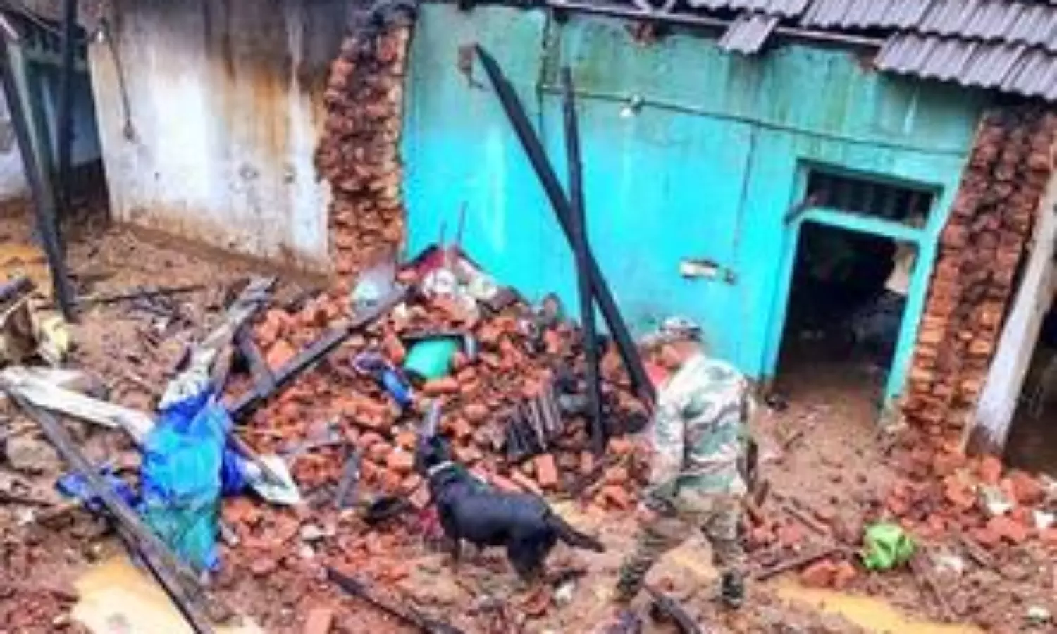 Govt study shows nearly half of Wayanad’s tourism constructions illegal