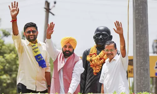 Gujarat assembly by-polls: AAP wins Visavadar, BJP retains Kadi