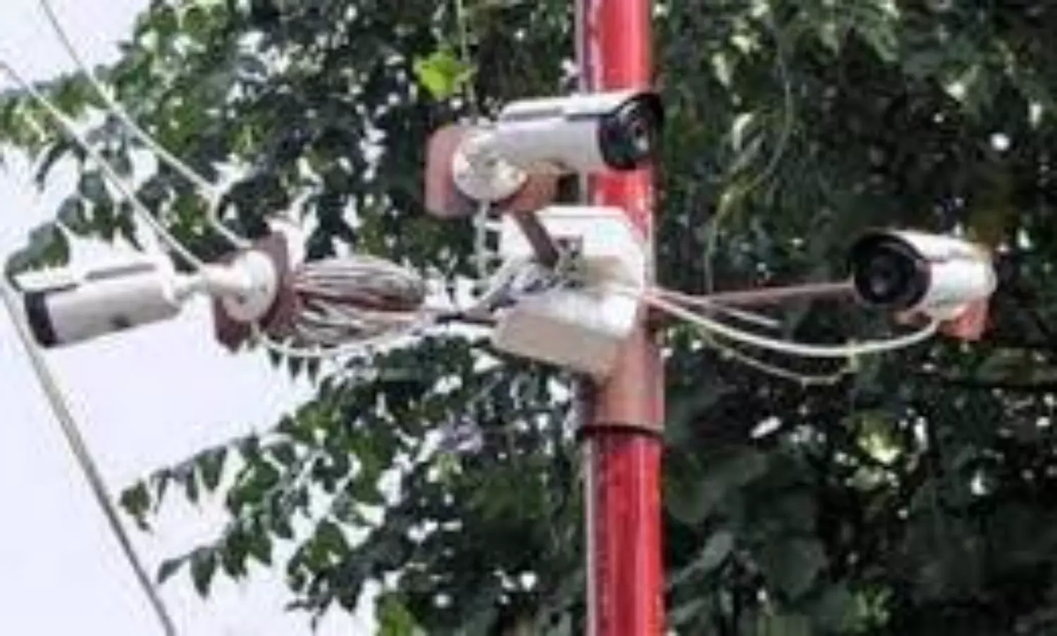 Chennai to install CCTV cameras at animal centres to curb mistreatment